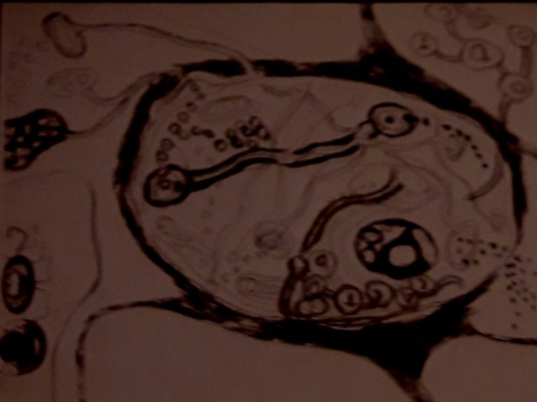 רקמת תאים בגוף ובהם מערכת גולגי משופרת לפיזור האטומים בתא בעזרת צינורות